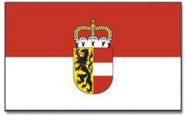 Salzburg Fahne 20 x 30 cm