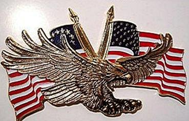 91-6207G,   Fliegender Adler mit USA Flagge ca. 11 cm. X 7 cm