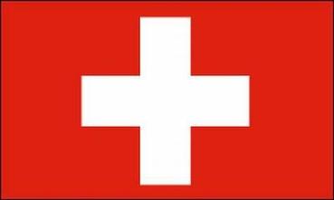 Fahne Schweiz 20 x 30 cm.