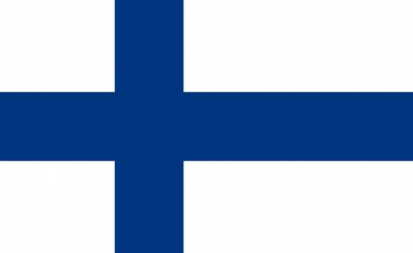 Suomen lippu 20 x 30 cm