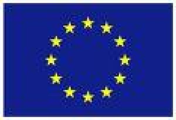 EURflag-26 x 18, Europa Flagge