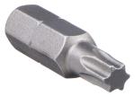 Bit Torx 40  Industriequalität 